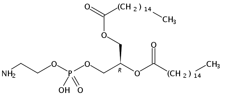 1,2-Dipalmitoyl-sn-Glycero-3-Phosphatidylethanolamine | CAS 923-61-5 ...